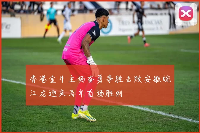 香港金牛主场奋勇争胜击败安徽皖江龙迎来马年首场胜利