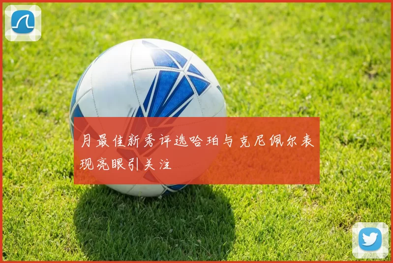 月最佳新秀评选哈珀与克尼佩尔表现亮眼引关注