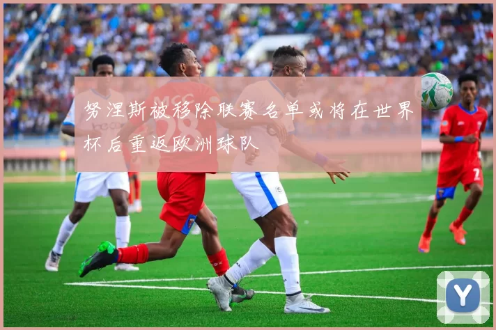 努涅斯被移除联赛名单或将在世界杯后重返欧洲球队