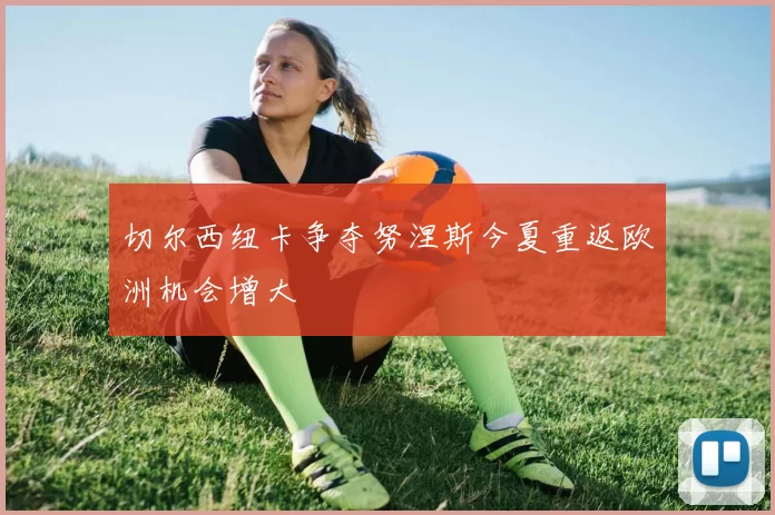切尔西纽卡争夺努涅斯今夏重返欧洲机会增大