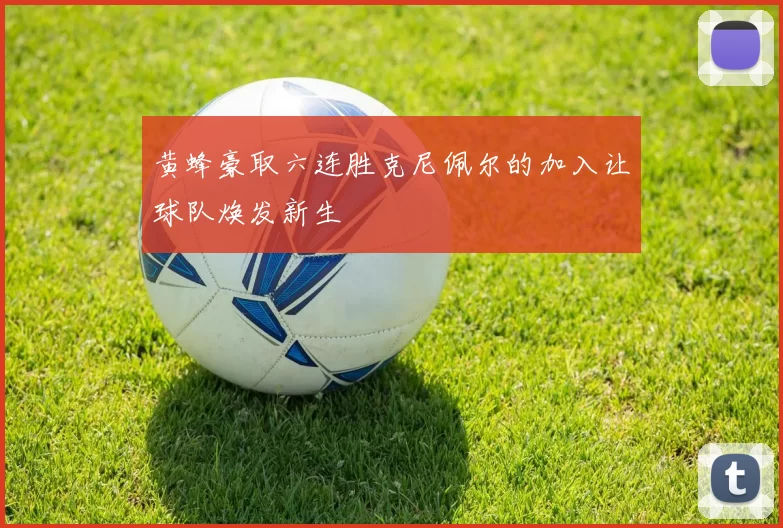 黄蜂豪取六连胜克尼佩尔的加入让球队焕发新生
